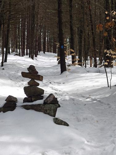 trail at Ramblin Vewe Farm in the Lakes Region of New Hampshire