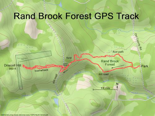 Rand Brook Forest gps track