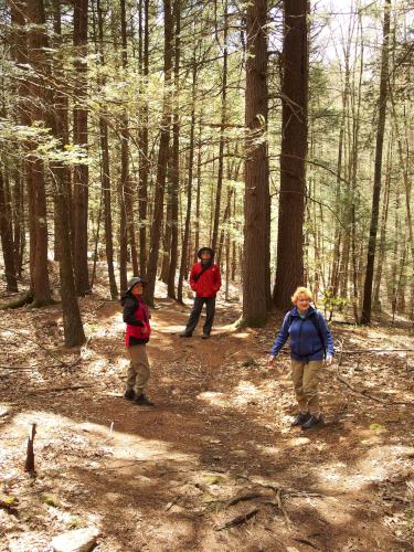 trail at Moore-Randall-Williams Wilderness in Hampstead, New Hampshire