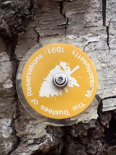 blaze marker on the Ledge Hill Trail at Ravenswood Park near Gloucester in Massachusetts