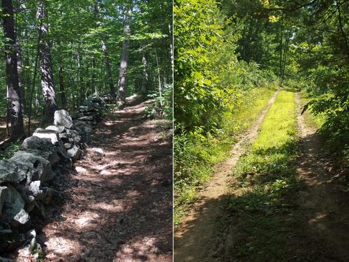 hiking paths at Raymond Park in Pelham, New Hampshire