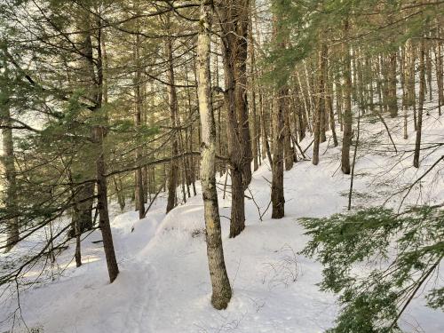 Red Hill River Trail in February at Red Hill River Conservation Area near Sandwich in central New Hampshire