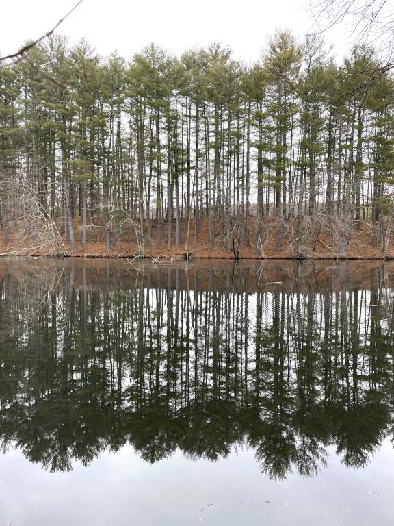 pond in February beside the Red Line Path near Westford in northeast MA