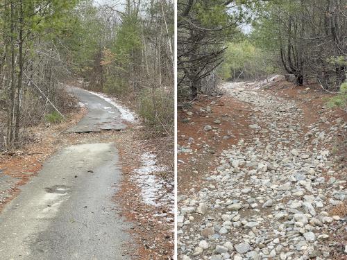 road in February near Red Line Path near Westford in northeast MA