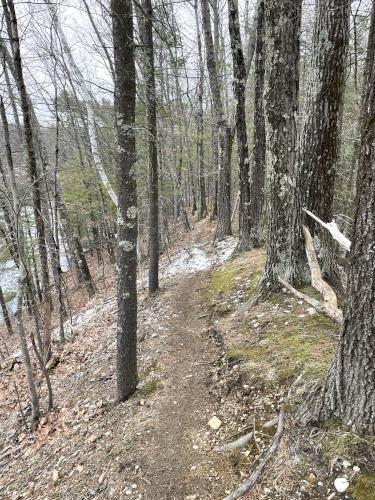 trail in February at Red Line Path near Westford in northeast MA