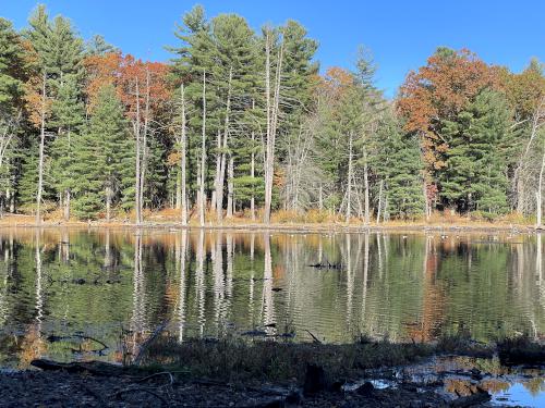 pond in October at Richardson Preserve in northeast MA