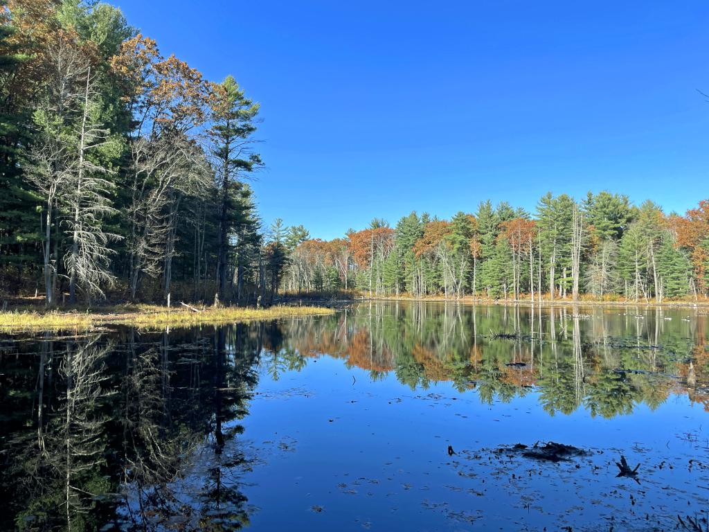 pond in October at Richardson Preserve in northeast MA