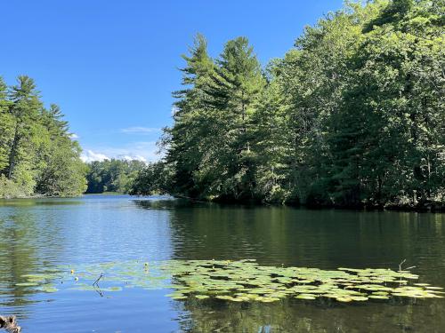 Nashua River in August as seen from Rideout Property in southern New Hampshire