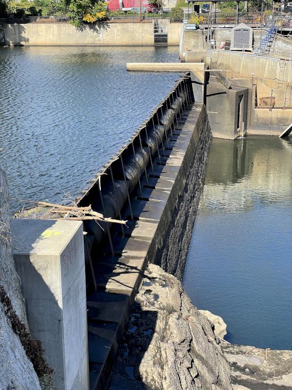 dry dam in September beside the Nashua Riverwalk in New Hampshire