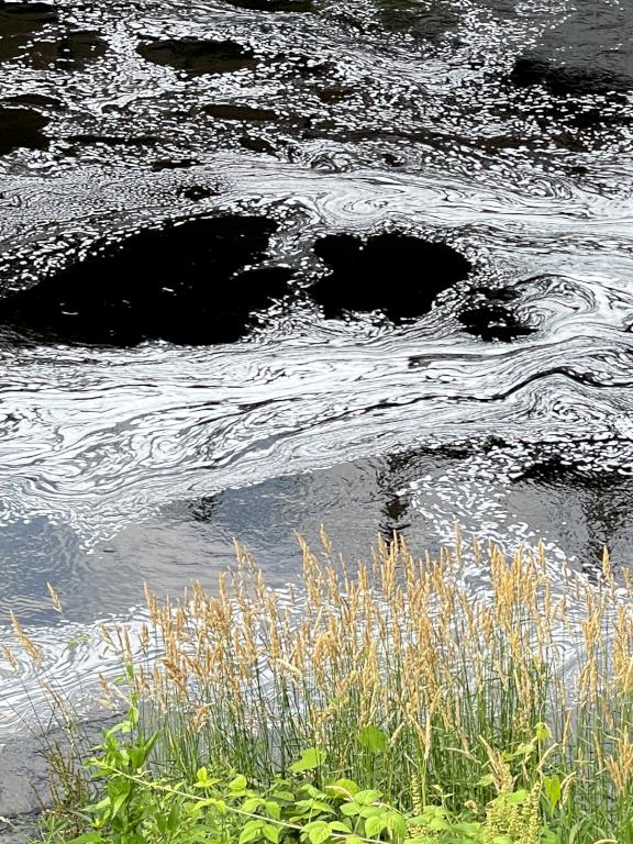 river foam in June at Nashua Riverwalk in southern NH