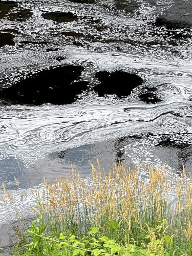 river foam in June at Nashua Riverwalk in southern NH