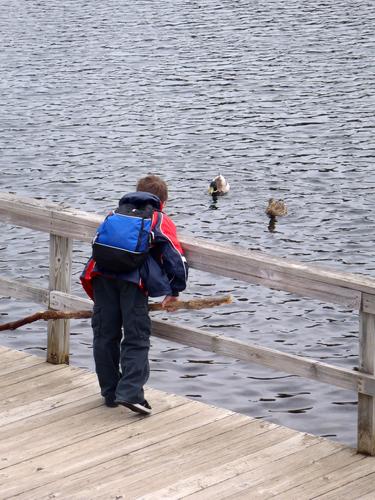 hiker at Shannon Pond on the way to Mount Roberts in New Hampshire