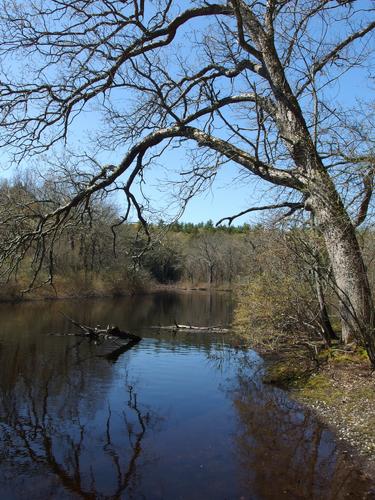 canoe landing on the Charles River at Rocky Narrows Reservation in eastern Massachusetts