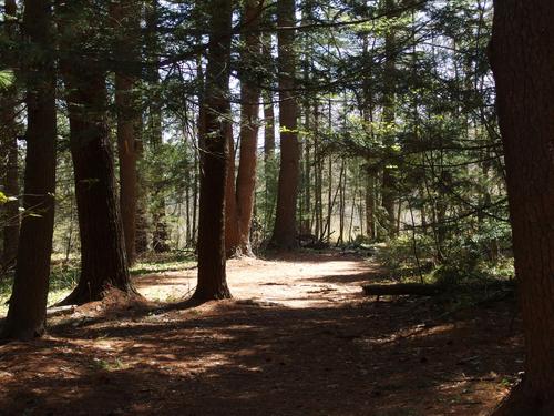 trail at Rocky Narrows Reservation in eastern Massachusetts