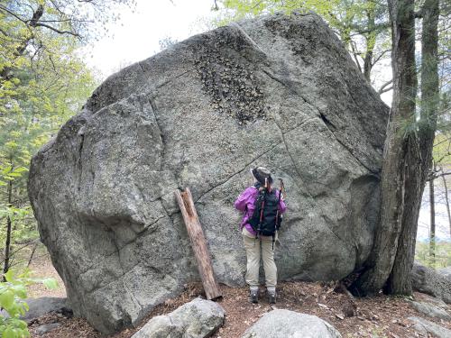 boulder in May at Rocky Pond near Boylston, MA