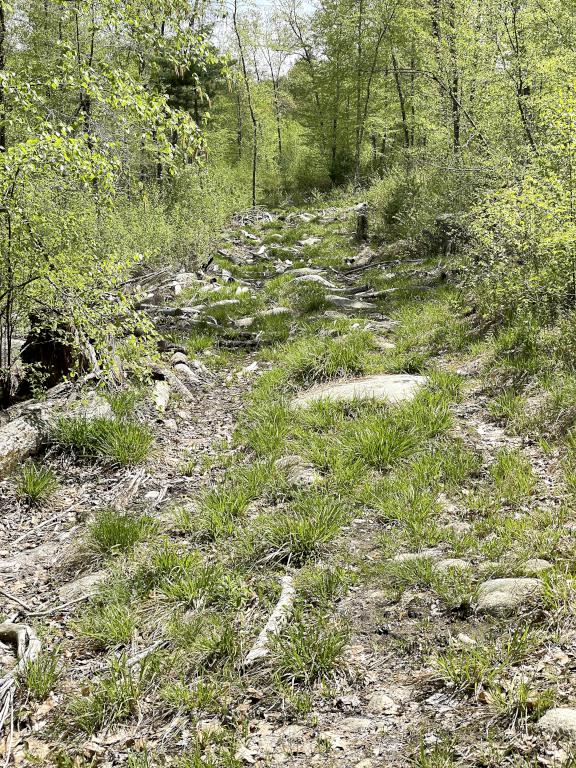 old road in May at Rocky Pond near Boylston, MA