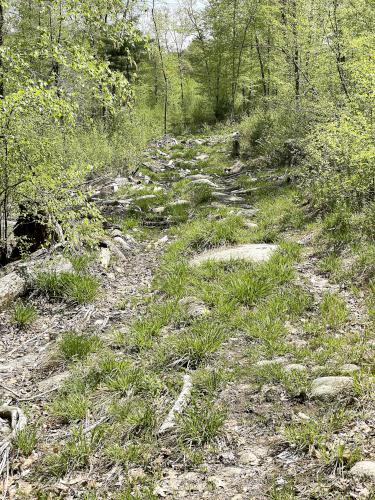 old road in May at Rocky Pond near Boylston, MA