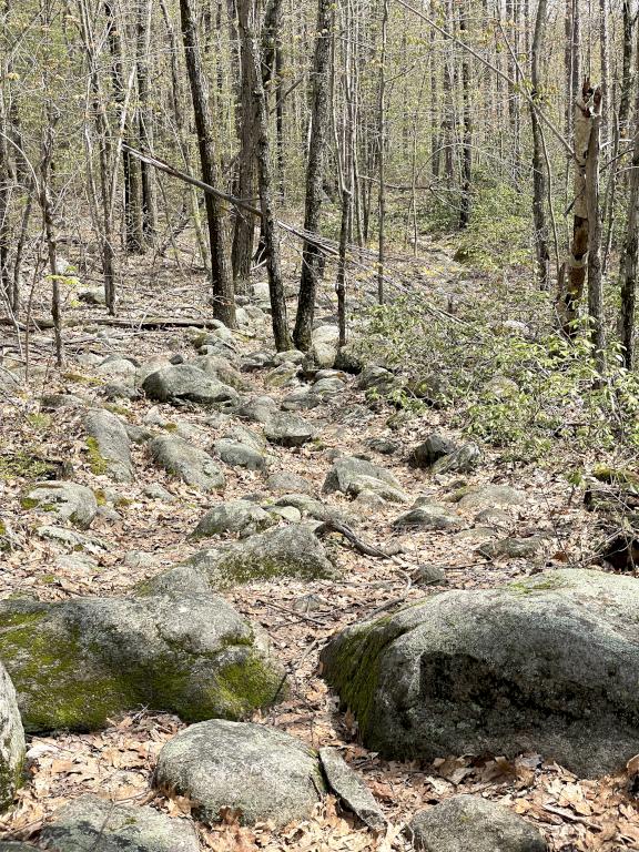 rocky trail in May at Rocky Pond near Leominster, MA