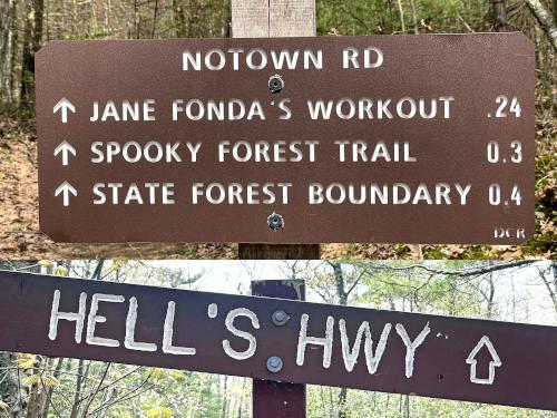 trailsigns in May at Rocky Pond near Leominster, MA