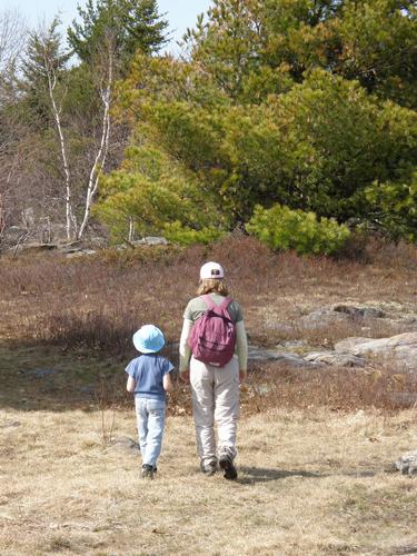 hikers on the trail to Rose Mountain in New Hampshire