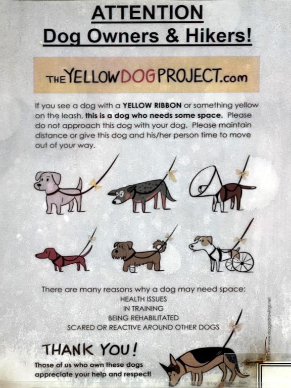 Yellow Dog Project poster at Rotch Wildlife Preserve in southern NH