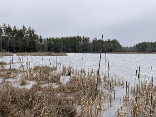 marsh in December at Rotch Wildlife Preserve in southern NH