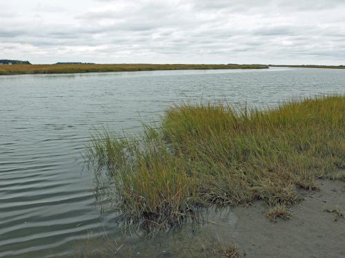 canoe launch site at Rough Meadows Wildlife Sanctuary in northeast Massachusetts