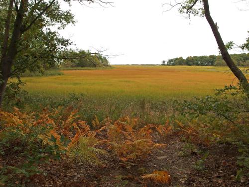 marsh view at Rough Meadows Wildlife Sanctuary in northeast Massachusetts