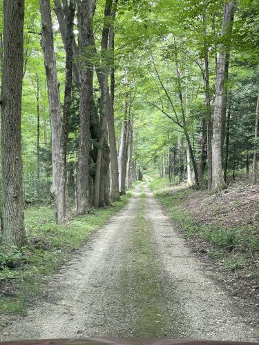 access road in August to Round Mountain in southwest MA