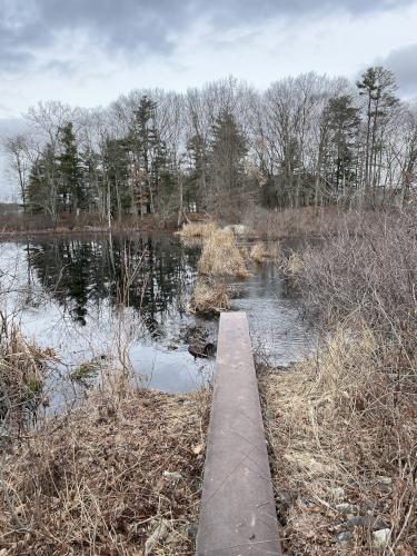 Pantry Brook in December near Round Hill in eastern MA