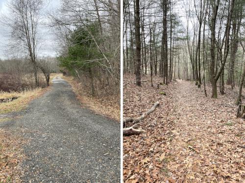 trails in December at Round Hill in eastern MA