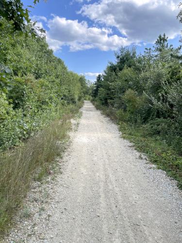 path in August at Roussel Field and River Walk in Nashua NH