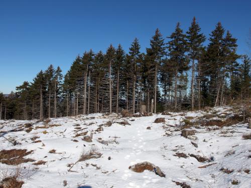 lumbered trail section to Royal Arch Hill in southwest New Hampshire