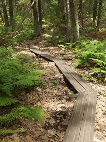 trail at Russell Mill Pond and Town Forest in northeastern Massachusetts