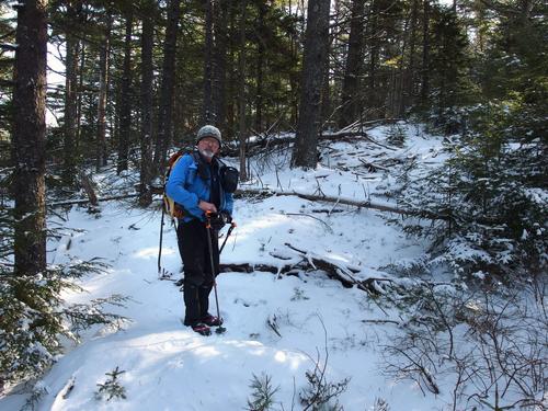 Dick on a bushwhack to Saddleback Mountain in southern New Hampshire