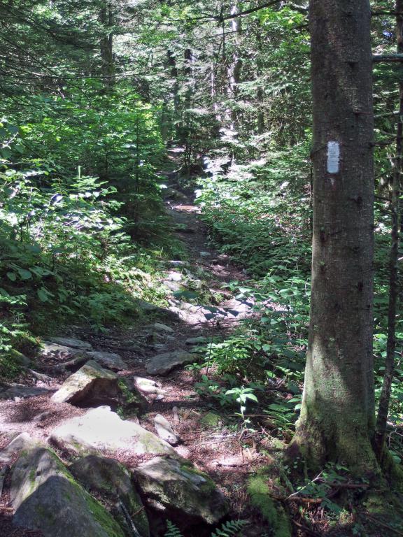 Appalachian Trail to Saddle Ball Mountain in western Massachusetts