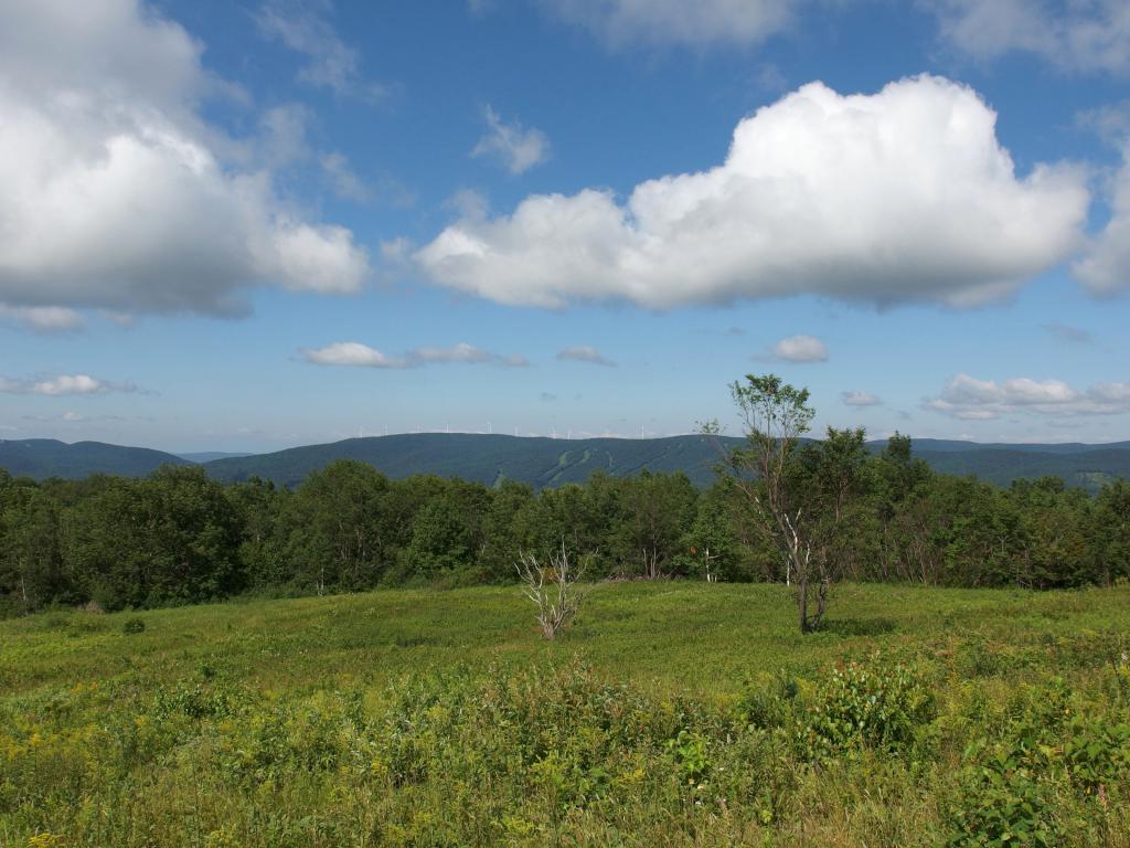 view toward Snowy Owl Resort from Saddle Ball Mountain in western Massachusetts