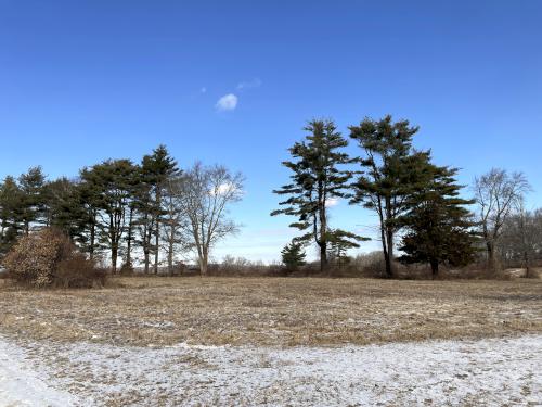 view in February at Sagamore Hill in northeast MA