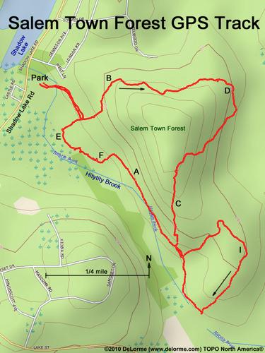 Salem Town Forest gps track