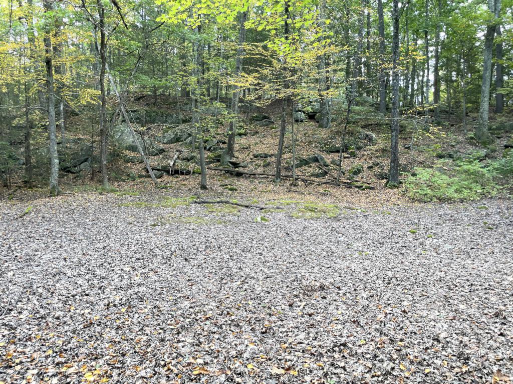 dry vernal pool in September at Sandown Town Forest in southern NH