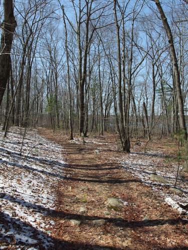 hiker path around Sandy Pond at Lincoln in eastern Massachusetts