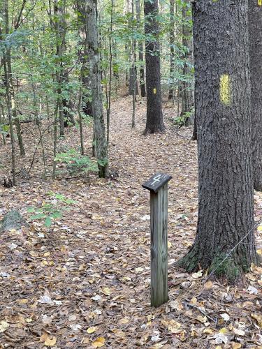 trail in October at Sargent Town Forest in southern New Hampshire