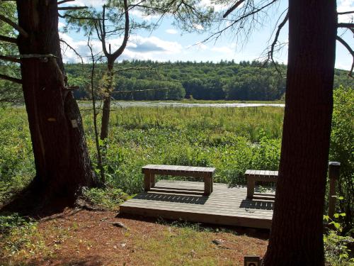 view in August from the Guided Nature Trail into The Great Meadow at Saunders Pasture Conservation Area in southern New Hampshire