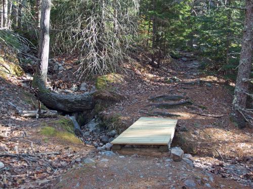 trail to St Sauveur Mountain in Acadia National Park, Maine