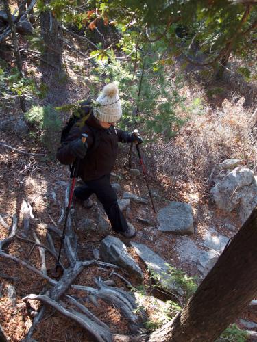 Andee heads down a steep section of the trail to St Sauveur Mountain in Acadia National Park, Maine