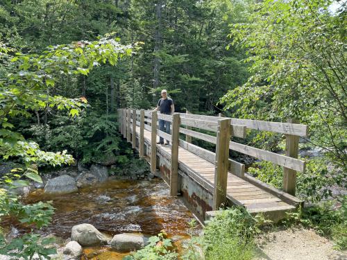 bootbridge at Sawyer Ponds in central NH