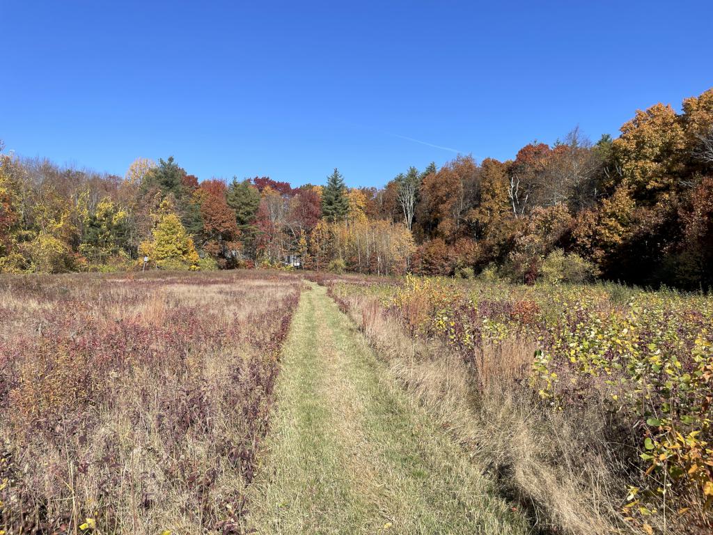 trail in October through the deer meadow at Sawyer Conservation Land in southern NH