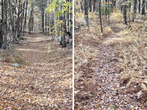 trail in October at Sawyer Conservation Land in southern NH