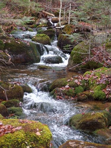 view of East Pond Brook on the way to Scar Ridge East Peak in the White Mountains of New Hampshire