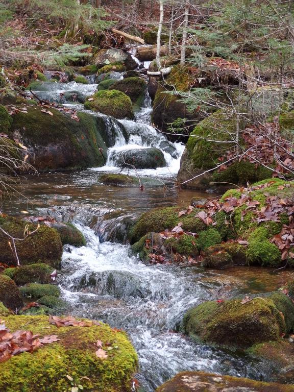 view of East Pond Brook on the way to Scar Ridge East Peak in the White Mountains of New Hampshire